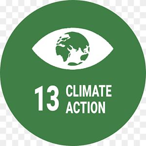 pineapple-sunset276 avatar