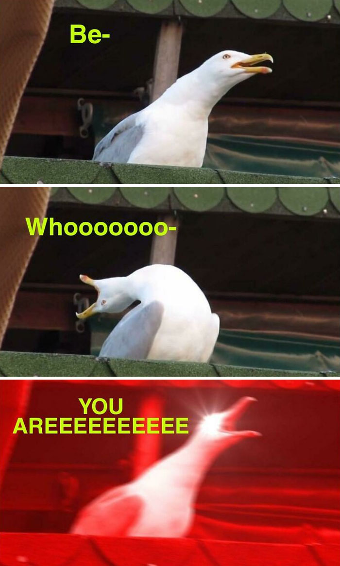 Me When Pride Month Comes: