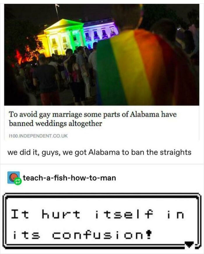 This Is Beyond Stupid Is Anyone From Alabama And Can Confirm This Stupidity