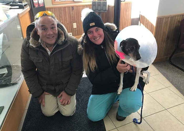 “I’d Rather Be Flying Dogs”: Retired Pilot Flies Rescue Animals To Their New Homes “I’d Rather Be Flying Dogs”: Retired Pilot Flies Rescue Animals To Their New Homes