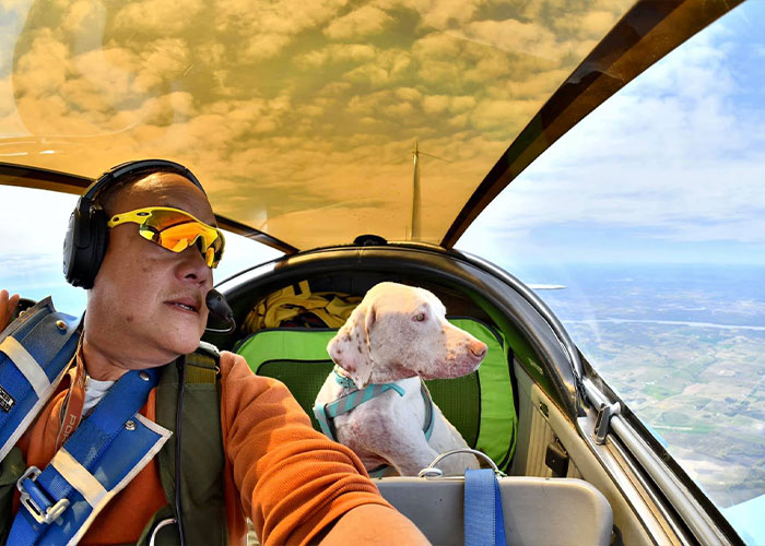 “I’d Rather Be Flying Dogs”: Retired Pilot Flies Rescue Animals To Their New Homes “I’d Rather Be Flying Dogs”: Retired Pilot Flies Rescue Animals To Their New Homes