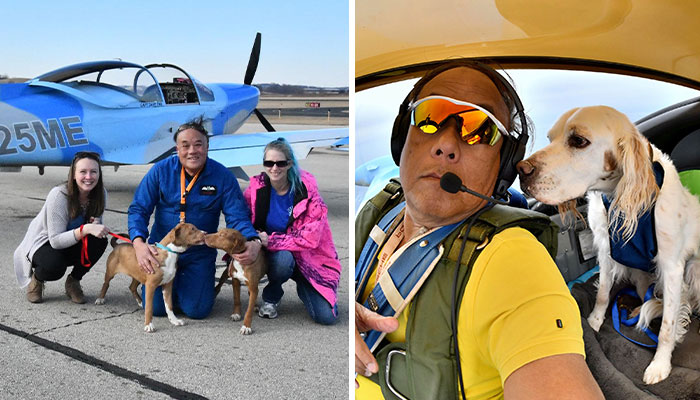 “I’d Rather Be Flying Dogs”: Retired Pilot Flies Rescue Animals To Their New Homes