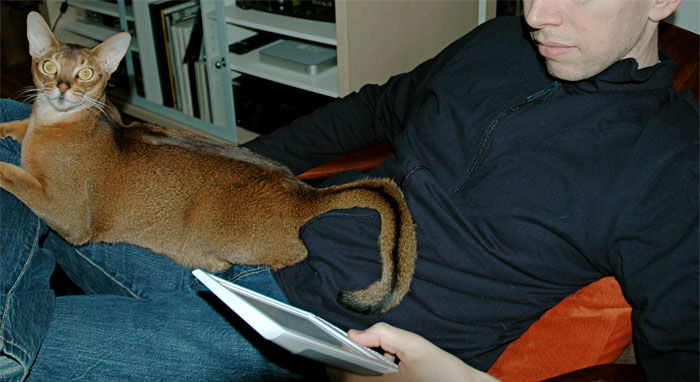 Writer Tweets About Owing Money To Amazon Because Readers Are Returning Their Finished eBooks, Sparks A Debate Among Online Users