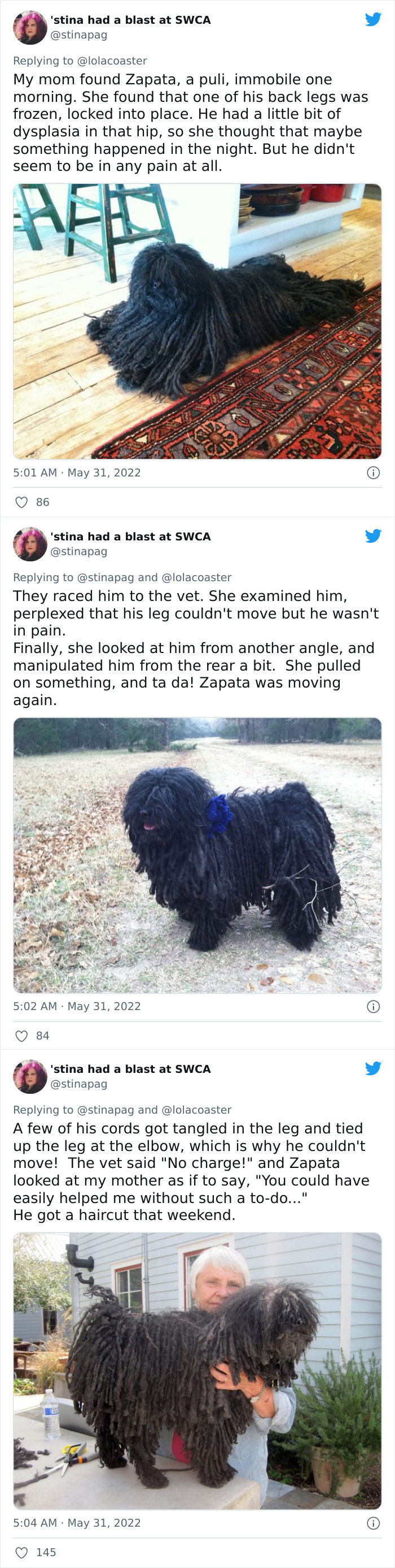 Ridiculous-Vet-Bills