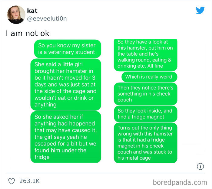 Ridiculous-Vet-Bills