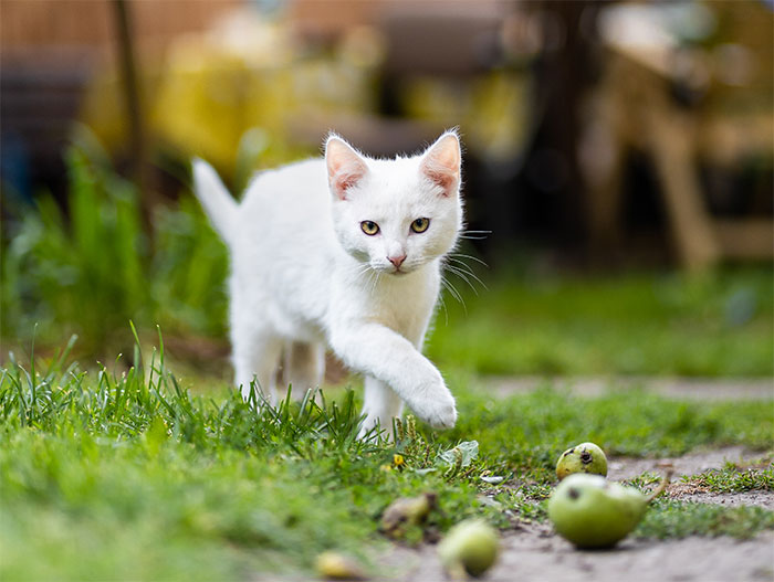 35 Stories Of The Worst Things Guests Have Done, As Told By Users Of This Online Community