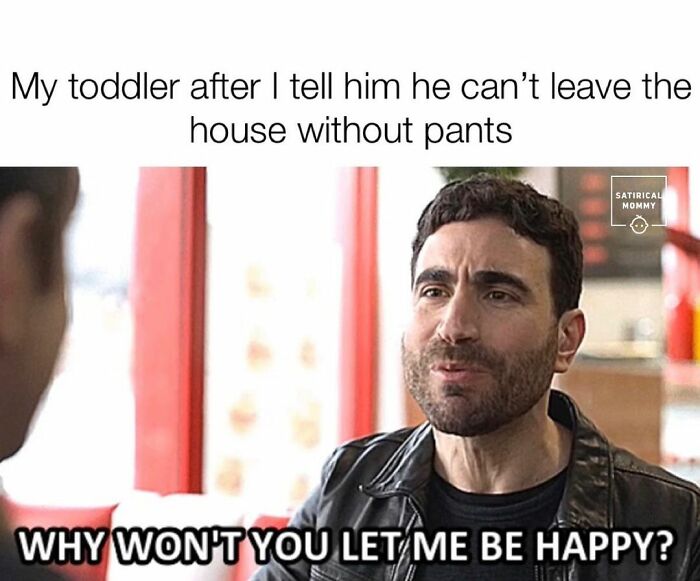 Satirical-Mommy-Memes