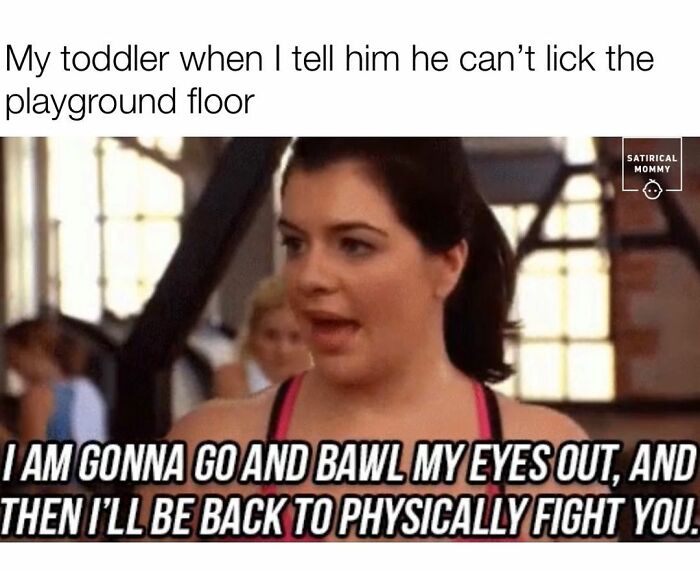 Satirical-Mommy-Memes