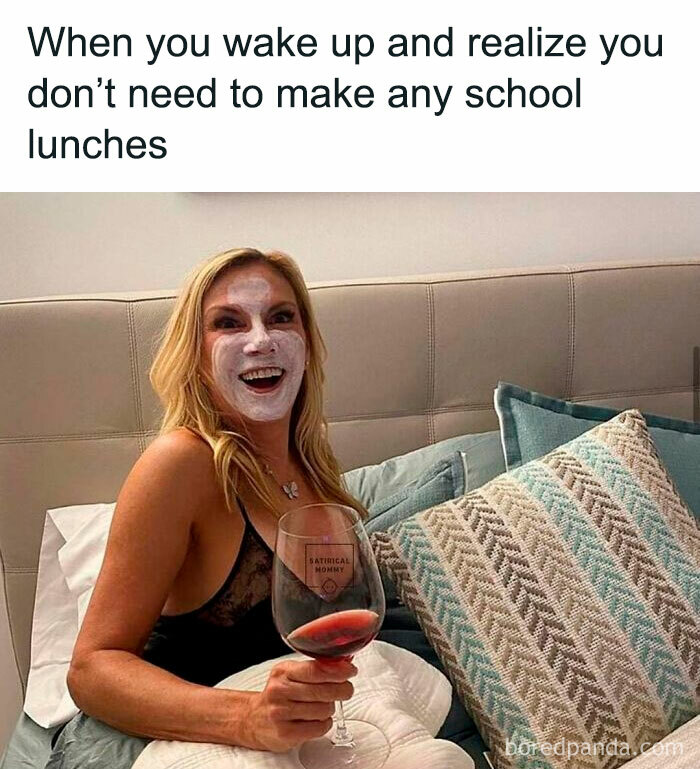 Satirical-Mommy-Memes