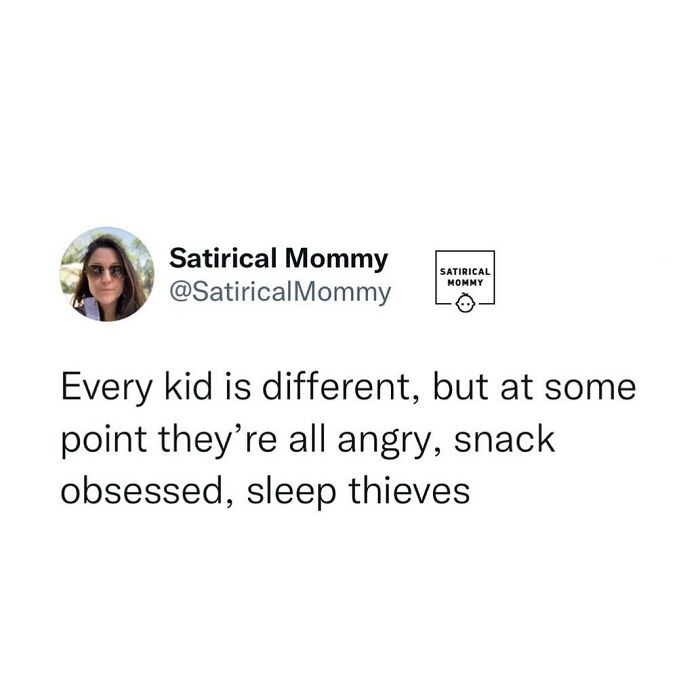 Satirical-Mommy-Memes