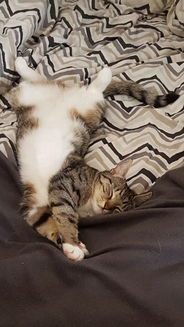 Me; Seeks.. Well,.. Me.