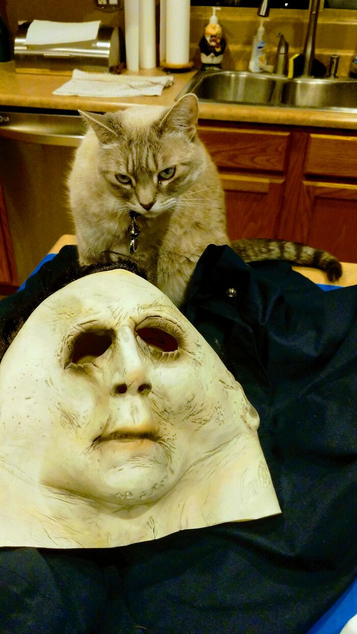 I'll Love You To Death