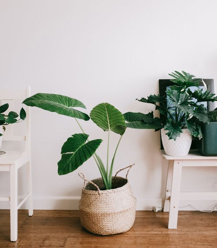 &ldquo;Am I A Jerk For Not Agreeing To Housesit For My Sister?&rdquo;