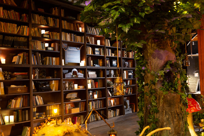 We Just Opened The First Steampunk Museum And Fantasy House In Cluj-Napoca, The Heart Of Transylvania, Romania.