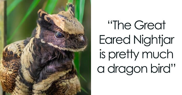 This Online Group Has People Posting “All Things That Seem Straight Out Of A Fairytale”, And Here Are 40 Of Their Most Bewitching Pics