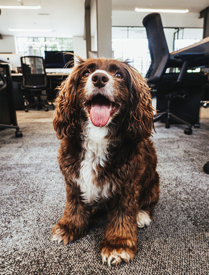 Someone Asked, "What Rule Was Changed Because Of One Stupid Person?", 40 Delivered