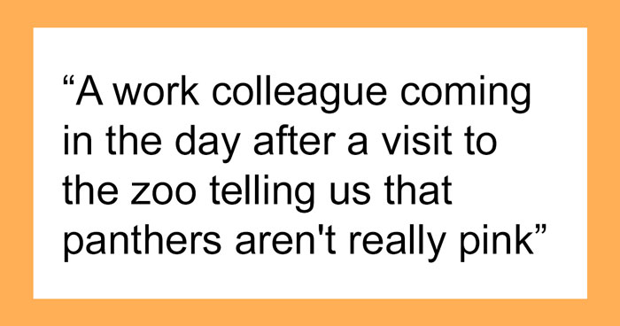 40 Times People Encountered Someone So Blatantly Stupid, They Just Had To Share It In This Online Group