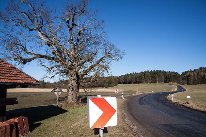 30 Cheap, Mass-Produced Items That Are Stupendously Well Engineered, According To Folks In This Online Thread