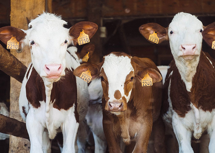 People Share 40 Things That Are True But That No One Wants To Hear