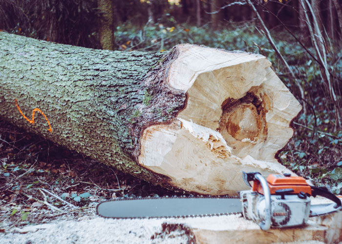 "Poor People Don't Know How It Works": 30 Wild Activities That Only The Filthy Rich Could Even Think Of