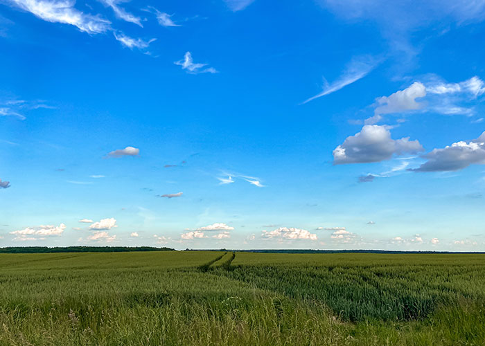 "Poor People Don't Know How It Works": 30 Wild Activities That Only The Filthy Rich Could Even Think Of