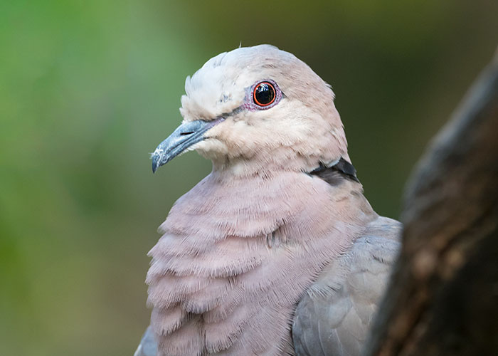 "Poor People Don't Know How It Works": 30 Wild Activities That Only The Filthy Rich Could Even Think Of