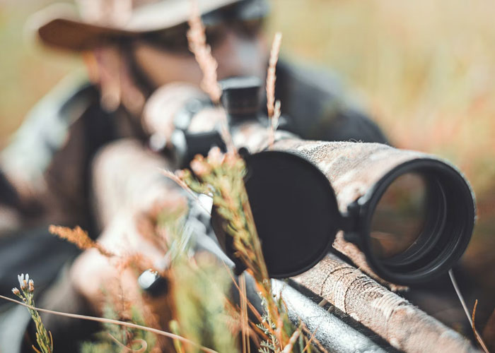 "Poor People Don't Know How It Works": 30 Wild Activities That Only The Filthy Rich Could Even Think Of