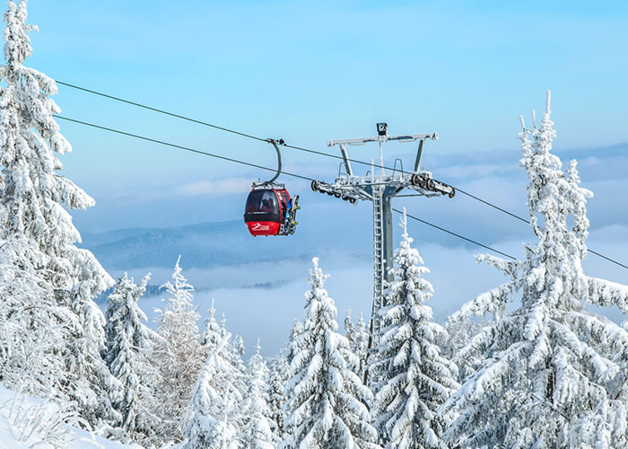 "Poor People Don't Know How It Works": 30 Wild Activities That Only The Filthy Rich Could Even Think Of