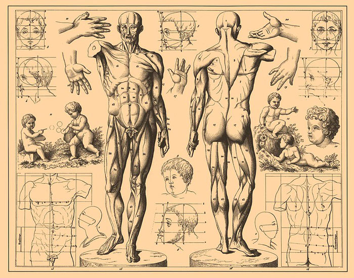 30 People Share What Great-Paying Jobs Are Often Overlooked