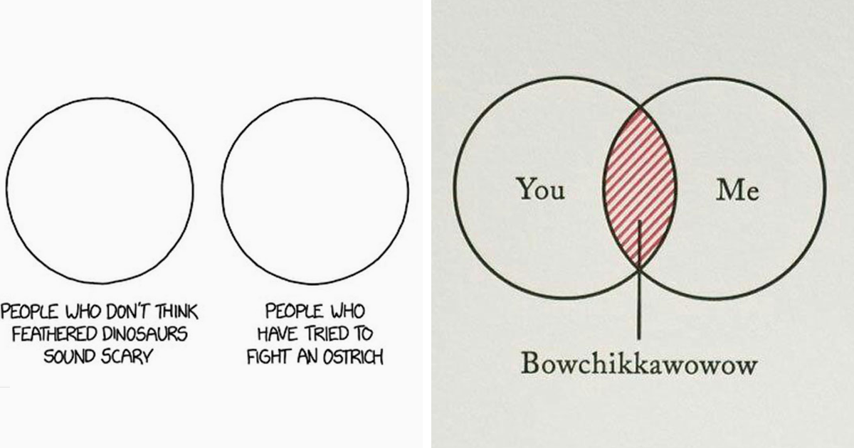 Venn Diagram Meme Msn