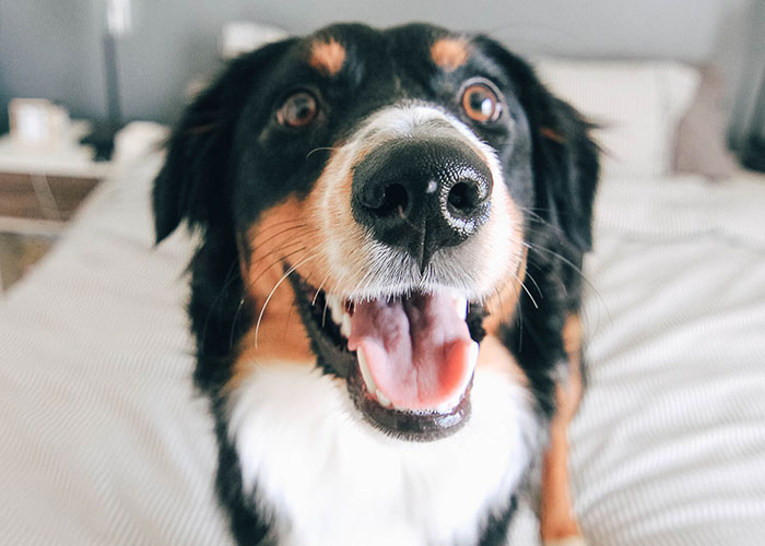 30 "Datos muy reconfortantes" compartidos por la gente