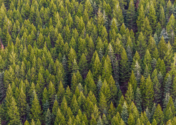 Someone Asked For ‘Very Comforting Facts,’ And 35 People Delivered