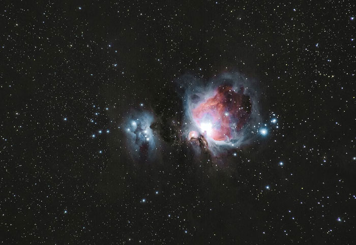 Someone Asked For ‘Very Comforting Facts,’ And 35 People Delivered