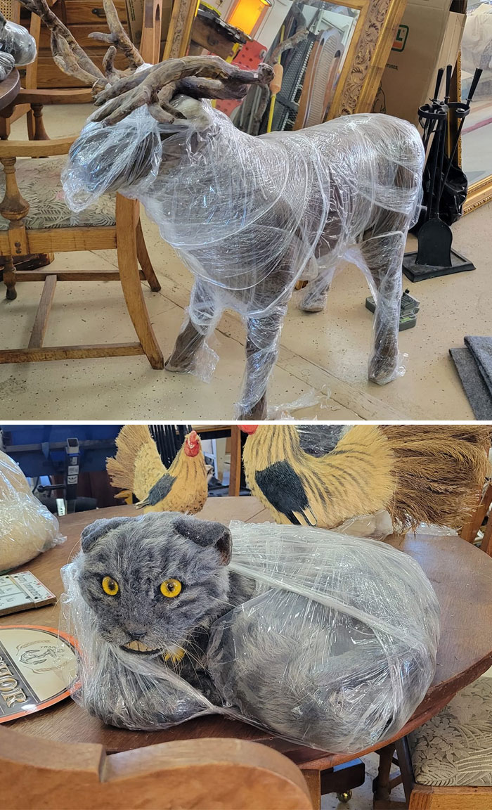 Found These At A Yard Sale Today. Was Told They Were Made For Disney. Any Info Would Be Helpful. Any Idea Of Value?