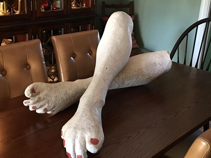 ‘Great Set Of Legs You Got There!’