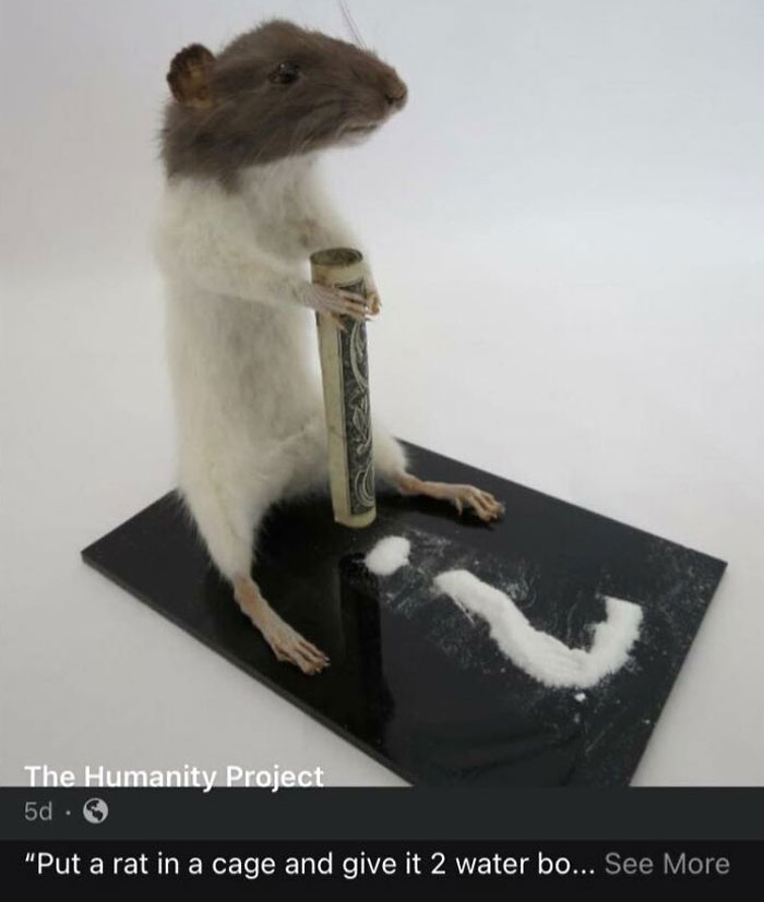 Weird-Funny-Ads-With-Threatening-Auras