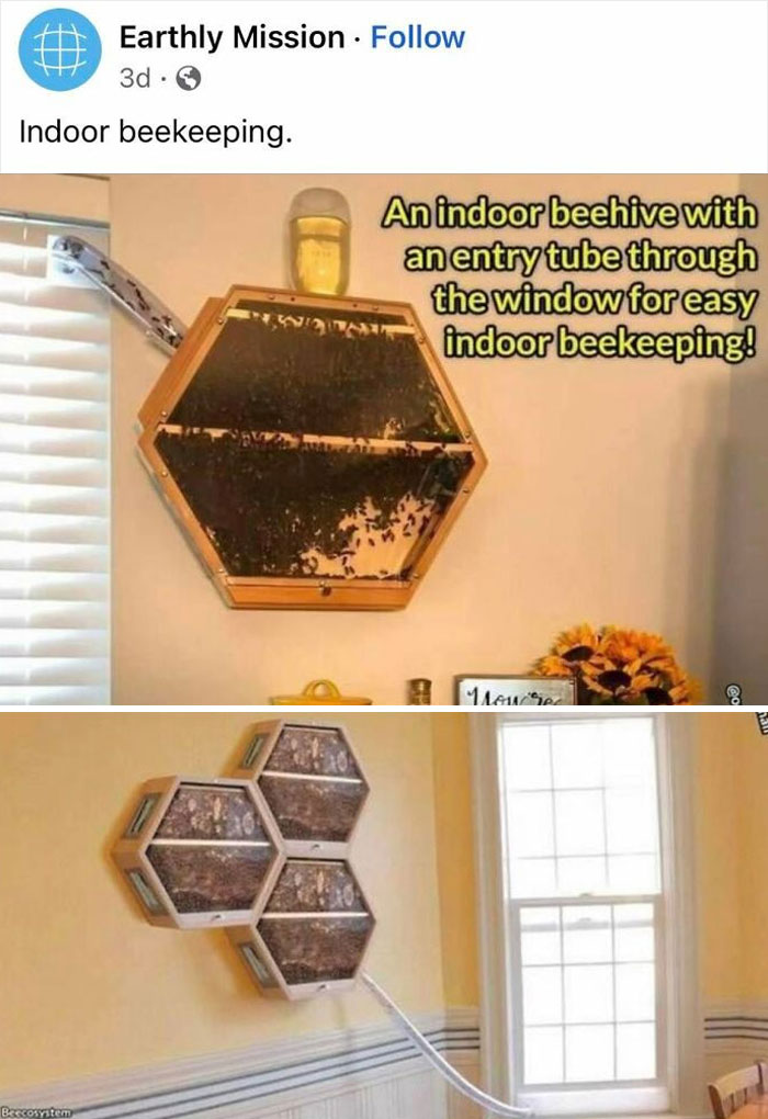 Weird-Funny-Ads-With-Threatening-Auras