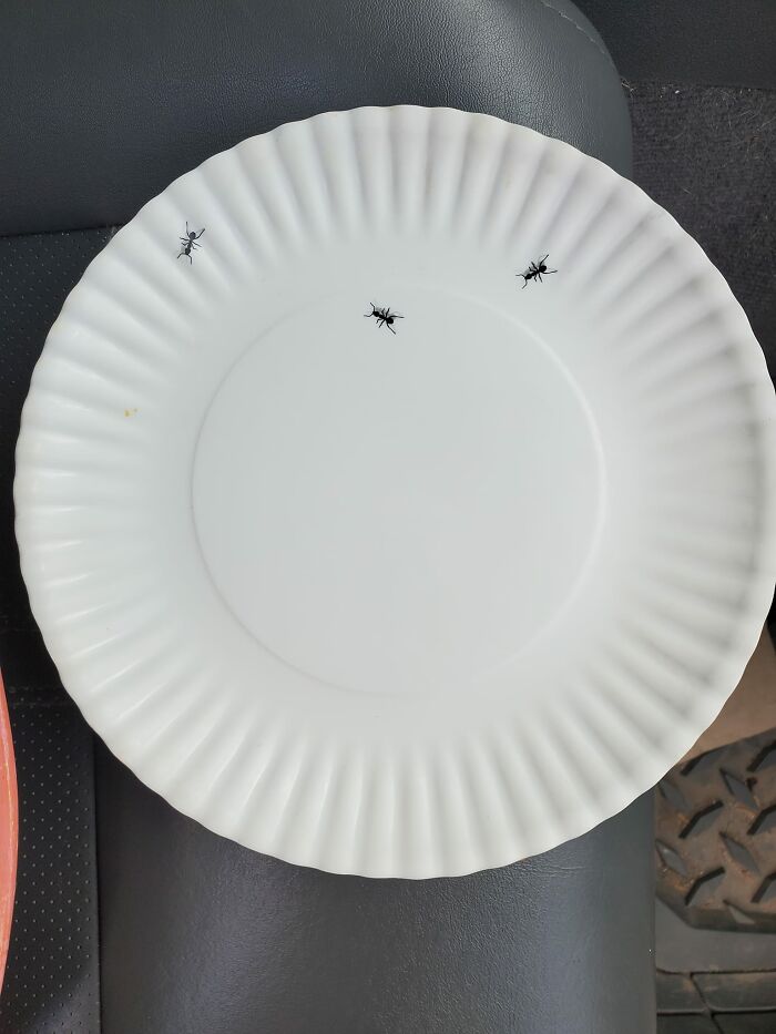 Found These At A Yard Sale In Northern Michigan