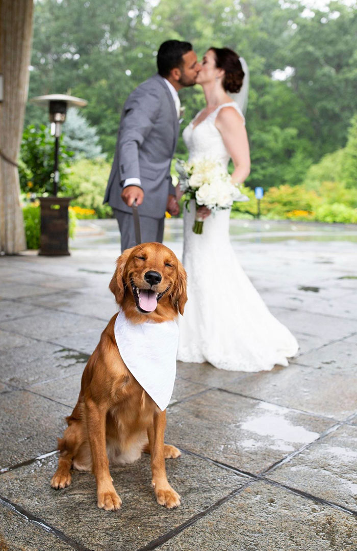 "My Parents Just Got Married"