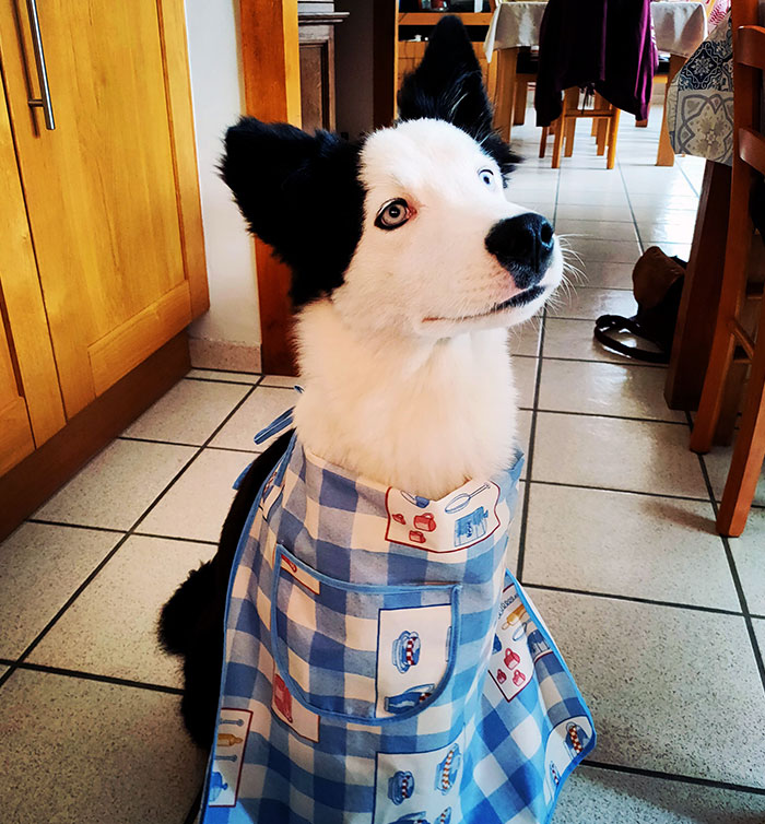 My Assistant When Cooking