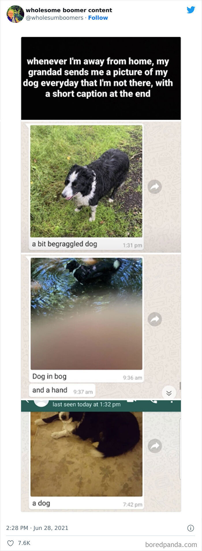 Wholesome-Boomers-Content-Pics