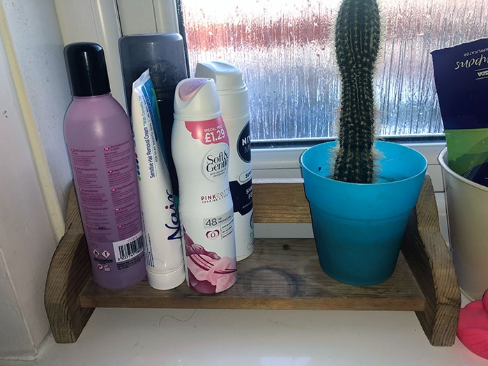 I’m 25, And My Mum Still Uses The Shelf I Made In Year 8, Wood Tech