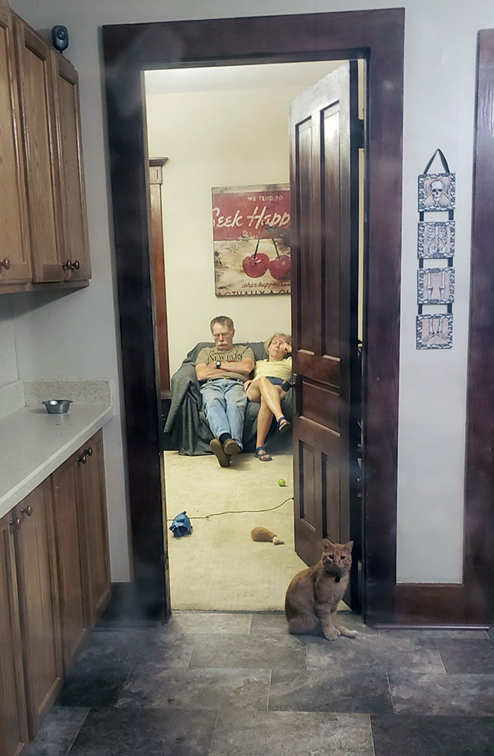 Mis padres acaban de quedarse conmigo durante una semana. Intentaron quedarse despiertos hasta las 11 de la noche para darme la bienvenida a casa después de un largo turno