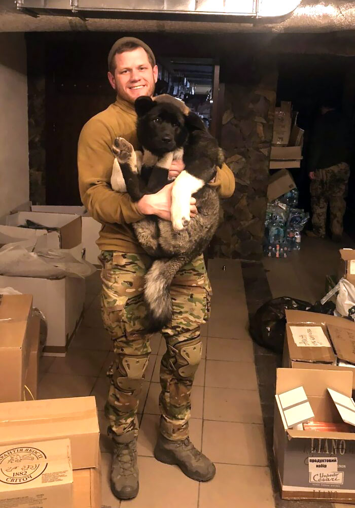 Ukrainian Soldier And A Rescued Dog