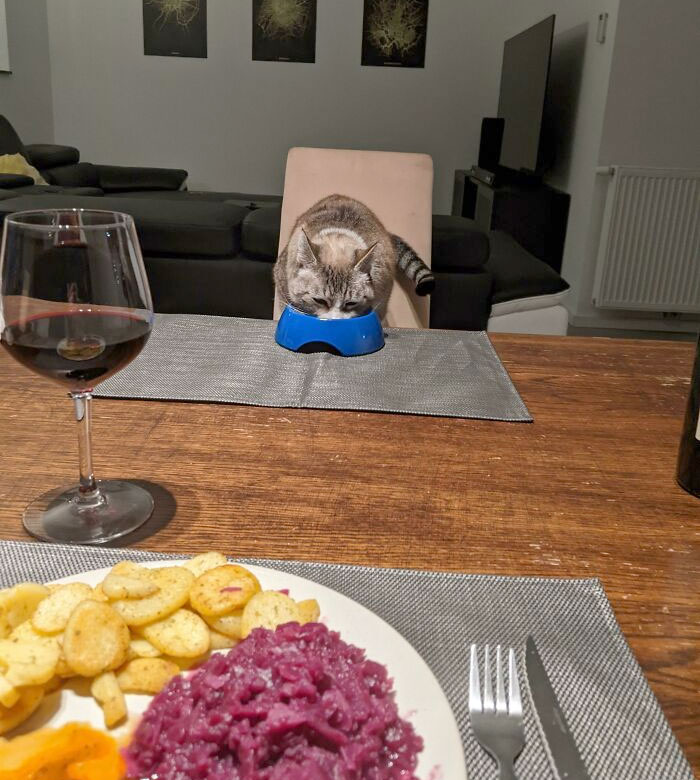 Having The Best Possible Valentines Dinner Date