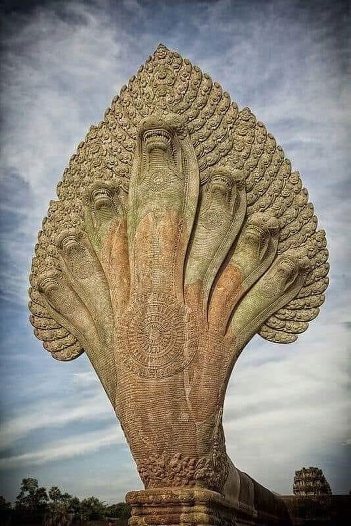 Una estatua de la serpiente de 7 cabezas (Naga), Angkor Wat, Camboya. En la mitología india, los seres mitad serpiente y mitad humanos llamados Naga eran considerados los guardianes de los ríos, pozos, manantiales y del agua potable.