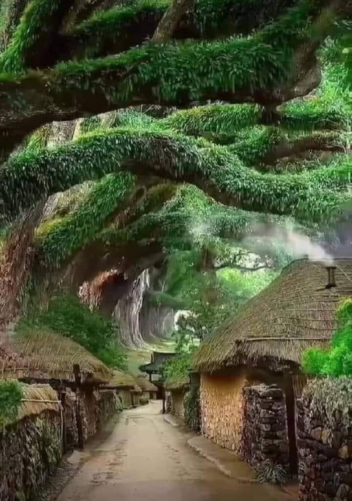 En el extremo suroccidental de la península coreana, en la región de Jeollanam-Do, hay una “aldea folclórica” en la que los habitantes siguen conservando la forma de vida antigua