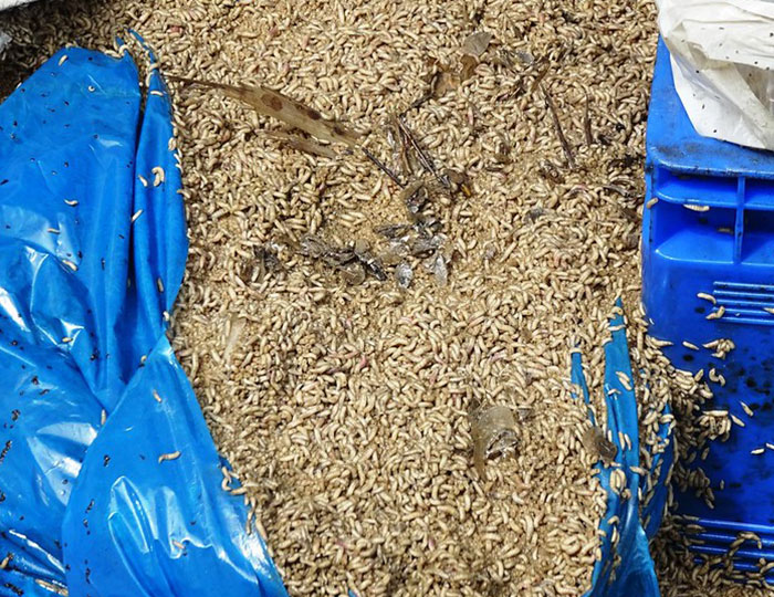 Someone Wonders "What’s The Worst Thing You’ve Come Home To?" And 30 People Deliver Honest Answers