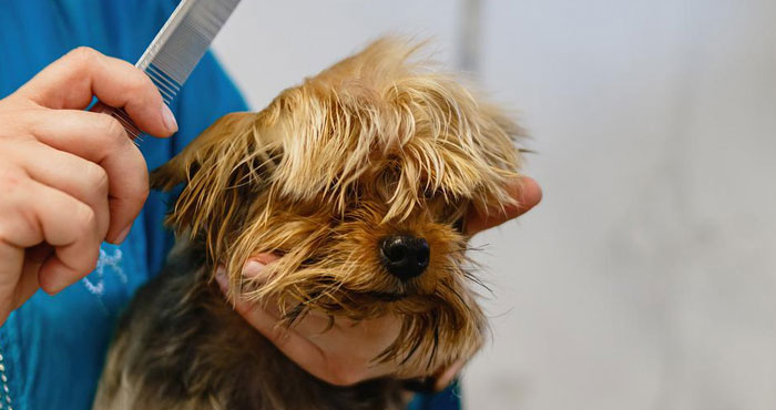 20 Personas comparten sus peores entrevistas de trabajo, y son muy entretenidas