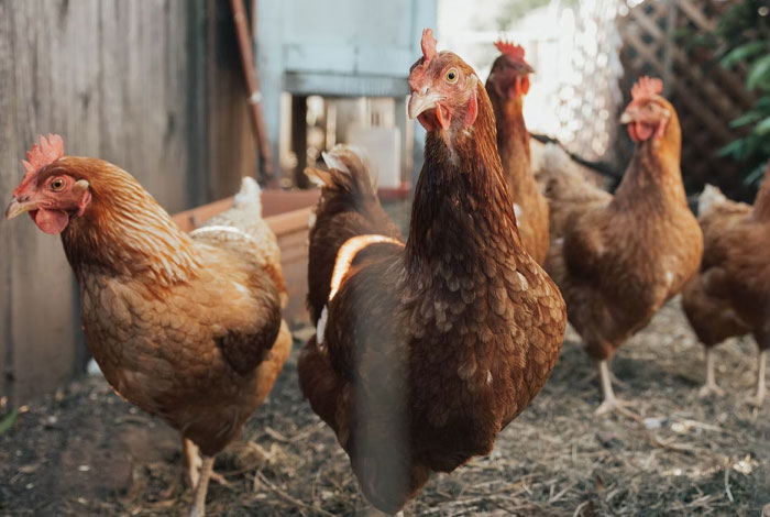 20 Personas comparten sus peores entrevistas de trabajo, y son muy entretenidas